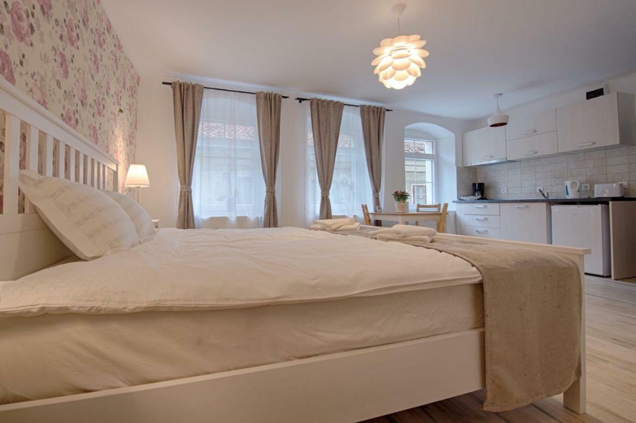 Casa Witting Apartment Brasov Ngoại thất bức ảnh